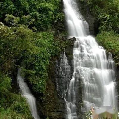 动物帮帮忙保卫家园